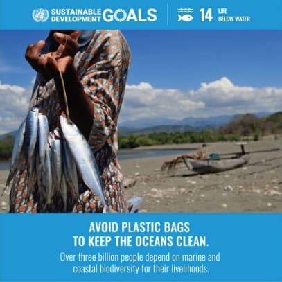 Sustainable Goals