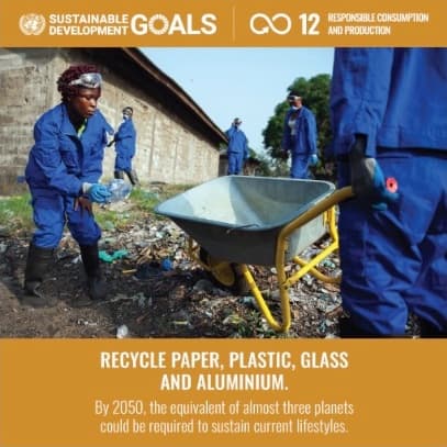 Sustainable Goals