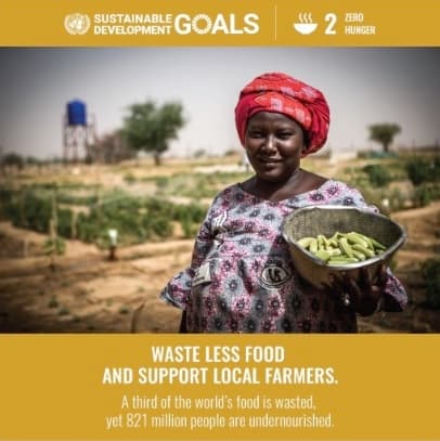 Sustainable Goals