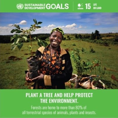 Sustainable Goals