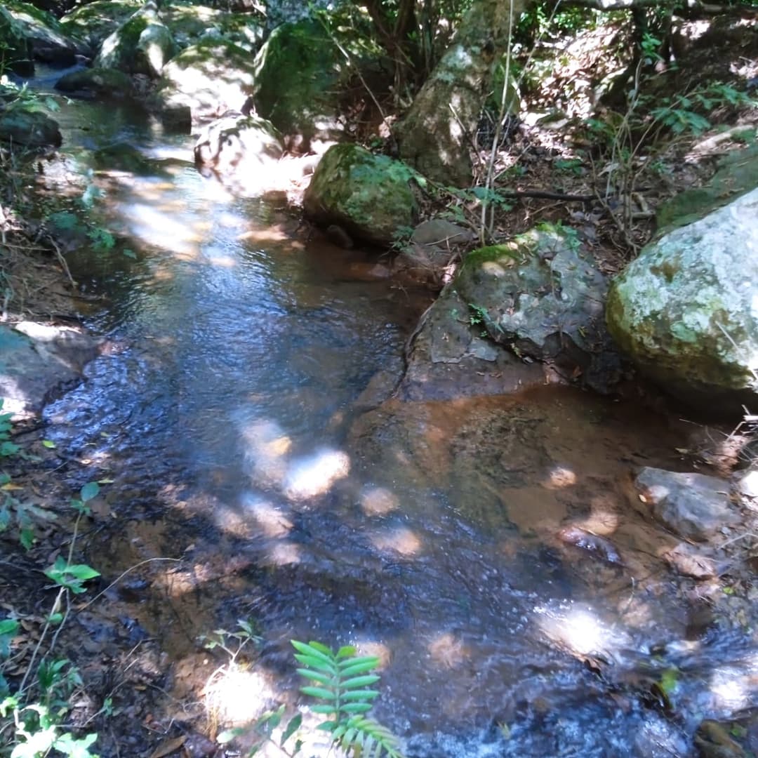 Flowing Water
