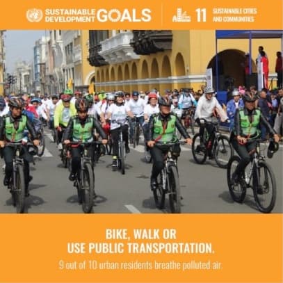Sustainable Goals