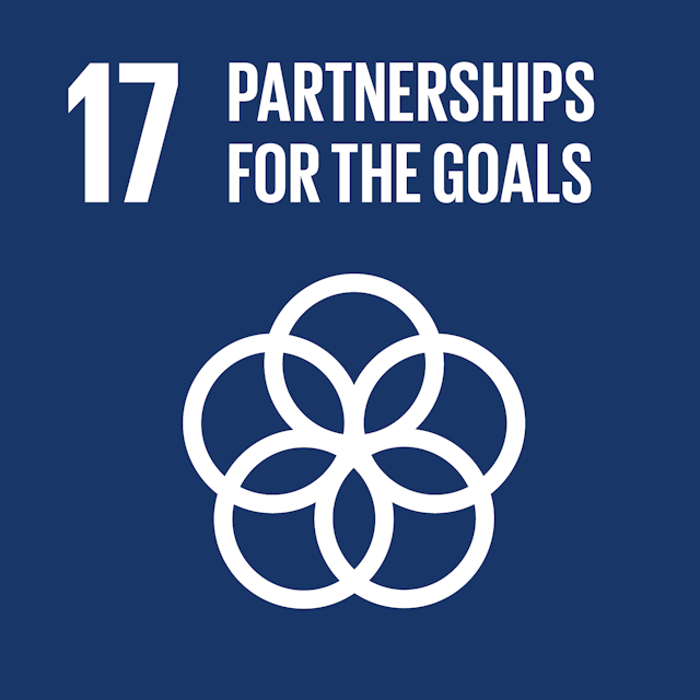 SDG Partnerships